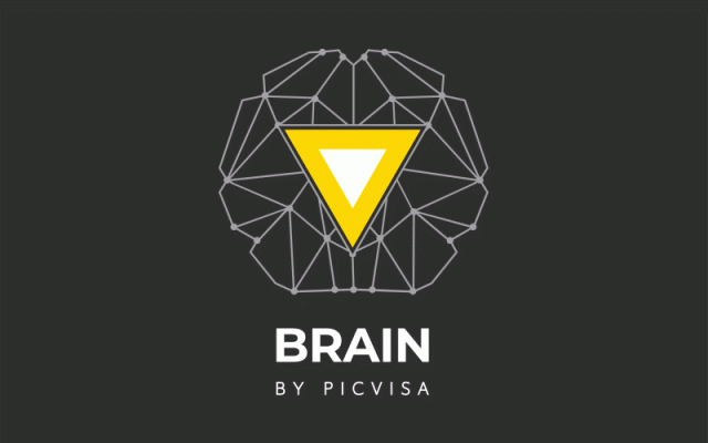 BRAIN By PICVISA: Artificial Intelligence And Vision