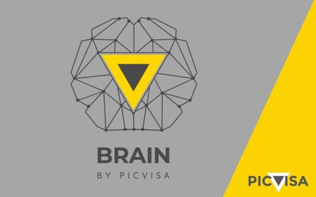 BRAIN By Picvisa: Deep Learning Consultancy