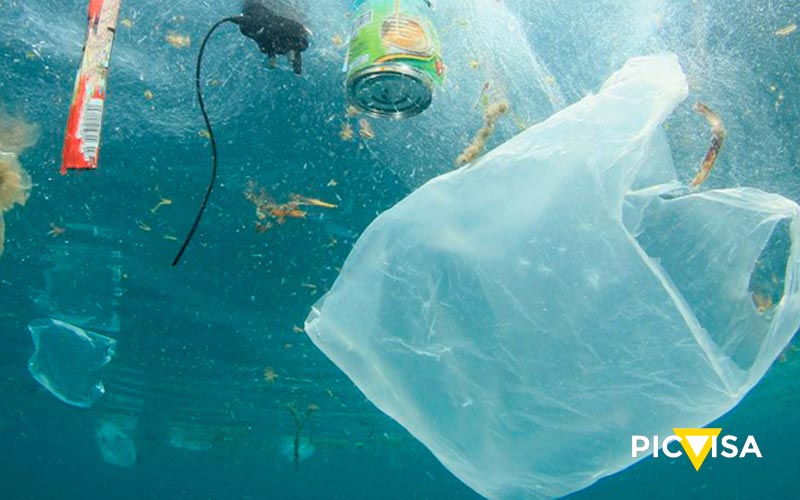 Global Alliances To Promote The Recycling Of Plastic Waste